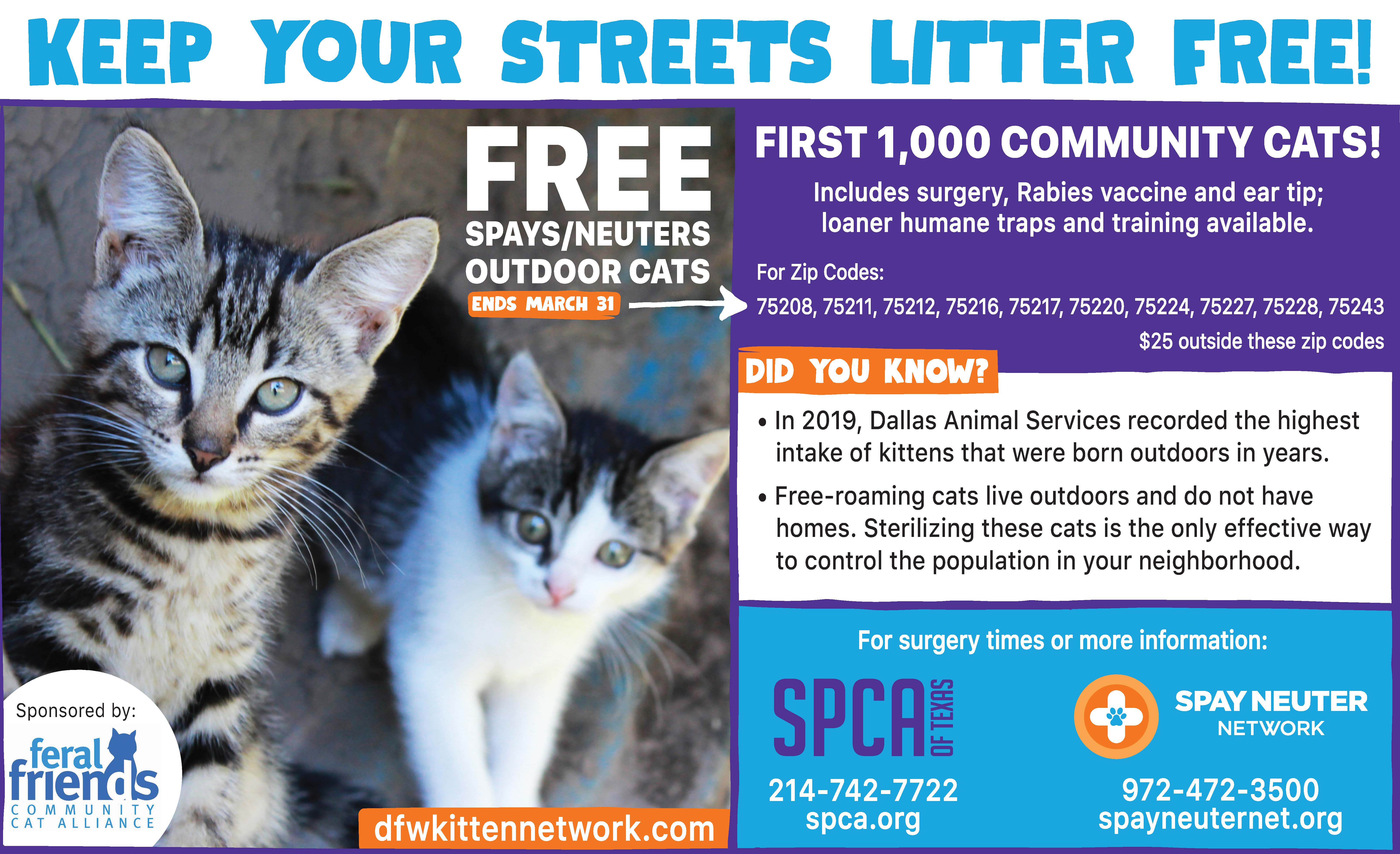 craigslist free kittens dallas